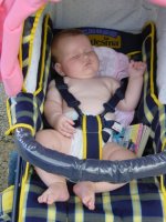 Taking a snooze on a hot Sunday afternoon
