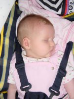 Snooze time in her pram