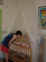 Summer is upon us and so are the mozzis - Charlotte now has an old fashioned mozzi net above her cot
