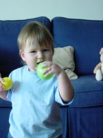 A lemon and pear day ... 