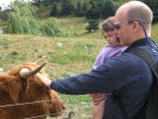 Daddy and a Scottish Highland cow.