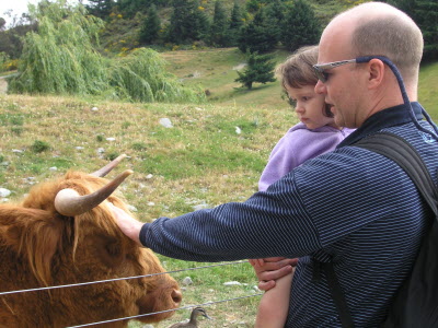 Daddy and a Scottish Highland cow.