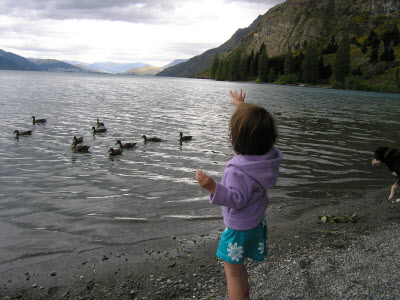 Feeding the duck at Walter Peak Station.