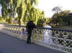 Watching the ducks in Christ Church.