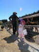 Feeding Pigs and Alpacka.
