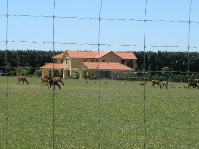 Meychelle Manor Farm.