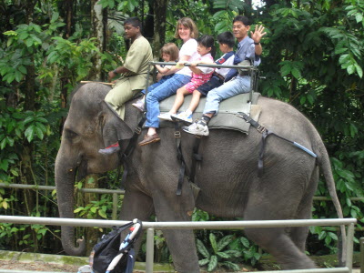 Susan & Lottie going for an elephant ride.
