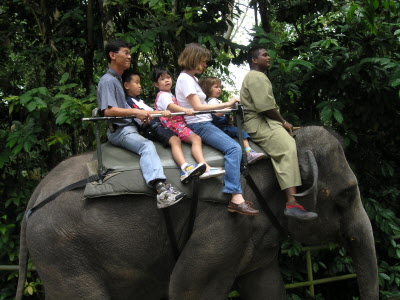 Susan & Lottie going for an elephant ride.