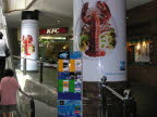 Columns of Lobsters. 