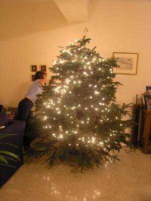 Dressing our Chrismas tree.