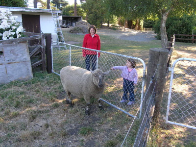 Susan, Lottie and the sheep.