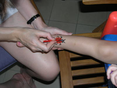And now a ladybird...