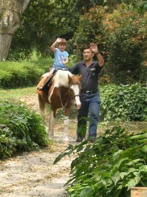 Daddy I want to ride a pony!