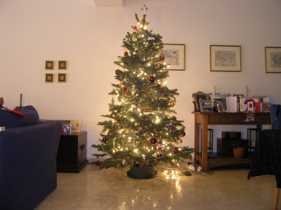 Our Christmas tree