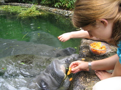 Trip to the zoo...