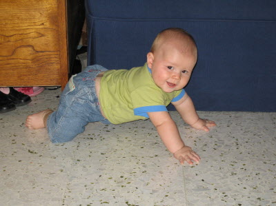 Nearly mastered this crawling thing...
