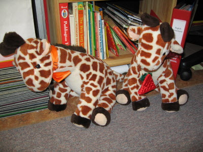 The class giraffes.