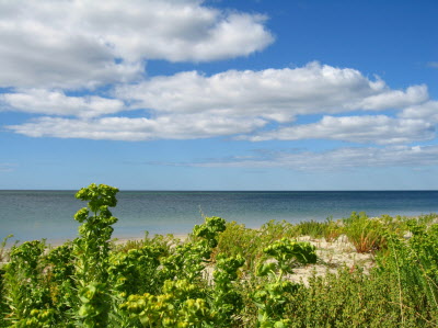 Bussleton beach.