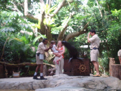 Snakes at the zoo.