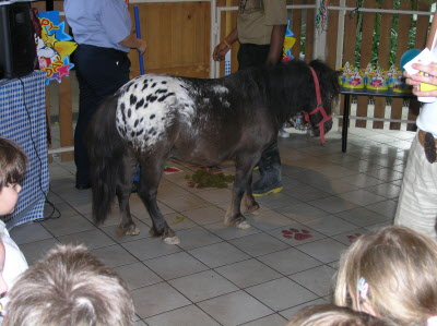 The pony at the party...