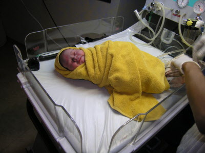 The little fella - working name Decimus Horatio Maximillion BURTON!