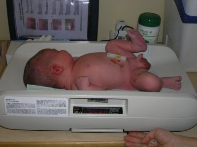 3.66kgs