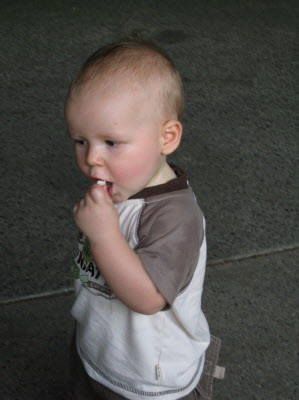 Conrad at the zoo...