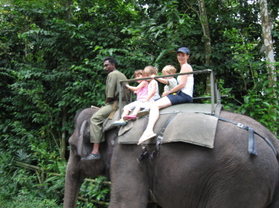 Elephant ride.