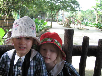 Tanglin Trust School zoo trip...