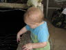 Investigating the fish pond ...