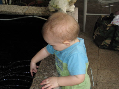 Investigating the fish pond ...