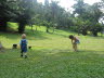 Lottie and Conrad playing ball in the Botanical gardens.
