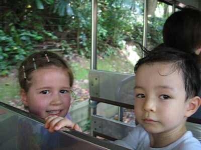 Train ride at the SG zoo.