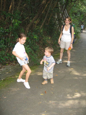 Sunday walk up to the Peak.