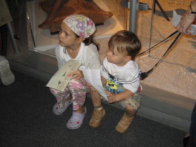 Enthralled by Chinese dinosaurs.