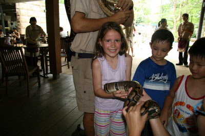 Lottie and python.