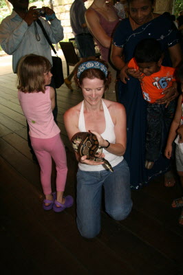 Suzy and python.