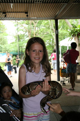 Lottie and python.