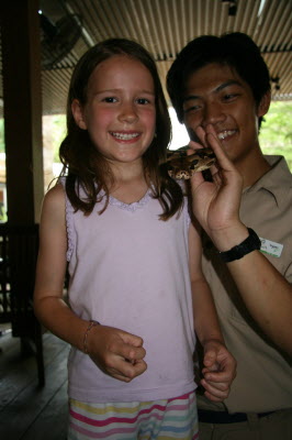 Lottie and python.