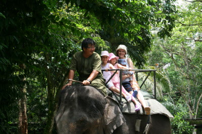 Elpahnt ride.