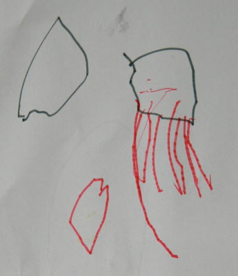 Conrad's creation. Jelly fish.