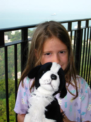 Lottie's class mascot - Tolly Dog.