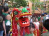 Dragon dance DB Plaza.