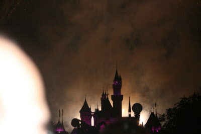 Disney visit with the Grants.