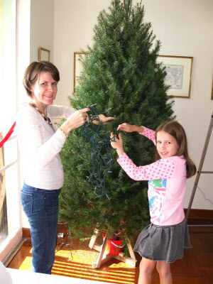 Decorating the Christmas tree.