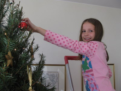 Decorating the Christmas tree.