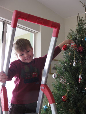 Decorating the Christmas tree.