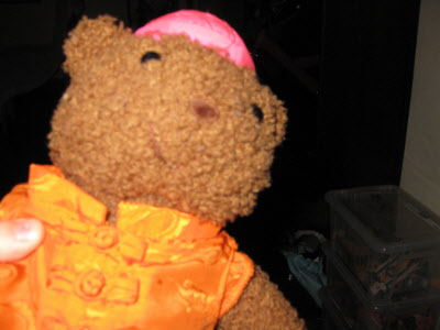 Chinese bear.