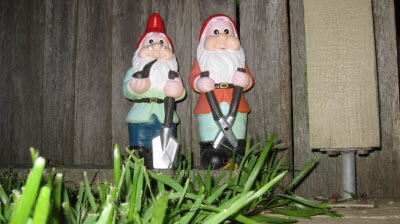 Numpty and Humpty!