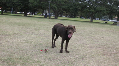 Buster.